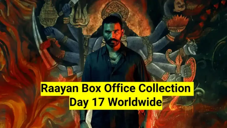 Raayan Box Office Collection Day 17 Worldwide Sacnilk