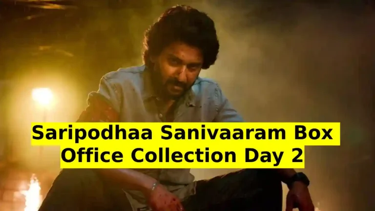 Saripodhaa Sanivaaram Box Office Collection Day 2