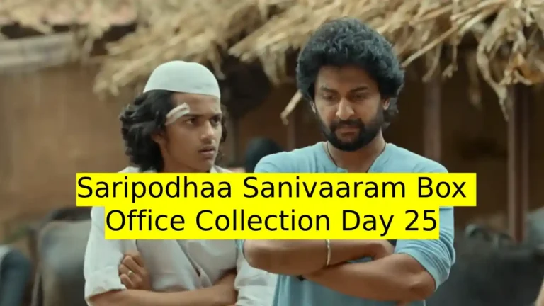 Saripodhaa Sanivaaram Box Office Collection Day 25