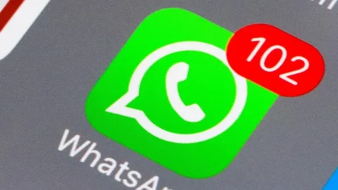 How to Manage WhatsApp Notifications: A Step-by-Step Guide 2026